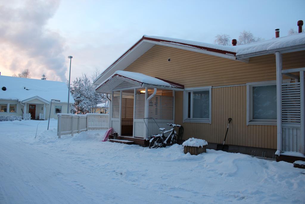 Koivut Rovaniemi